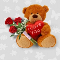 3 RED ROSES W/ 2ft TEDDY BEARw /pillow