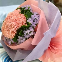 Pink Carnations Hand Bouquet