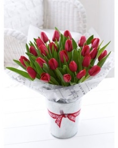 24 RED TULIPS BOUQUET