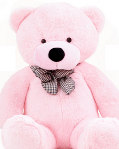 4 ft light pink Teddy