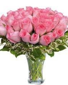 36 pink roses
