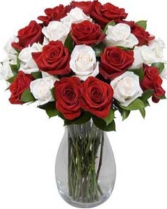36 red & white roses