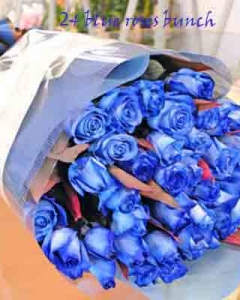 24 light blue roses bunch