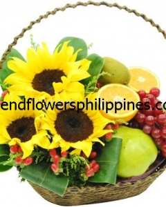 Flowers & Fruits Basket 01