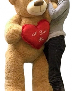 teddy 3 ft w/i love you pillow