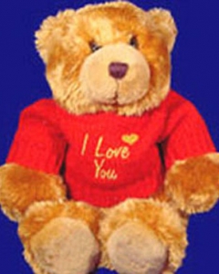2 ft teddy w/i love you t shirt