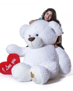 giant 4ft white teddy with pillow