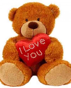 3ft brown teddy w/i love you pillow