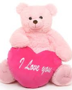 3ft pink teddy w/pink love you pillow