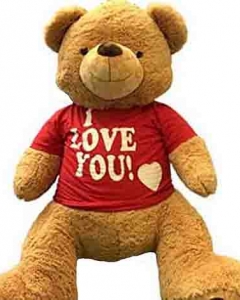 3ft brown teddy w/i love you T-shirt
