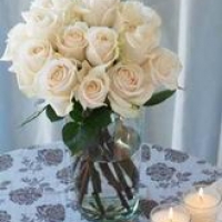 24 white Rose